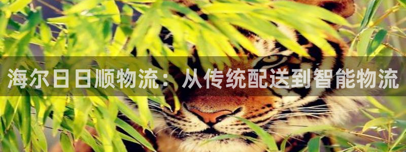 28圈注册网站加拿大：海尔日日顺物流