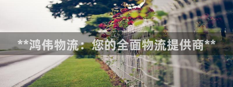 28圈注册网址百度知道：**鸿伟物流