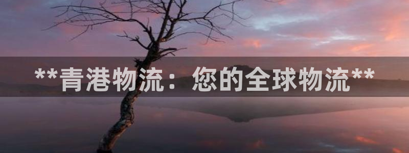 28圈那个才是充值账号：**青港物流