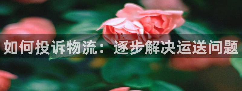 28圈女王中奖记录查询