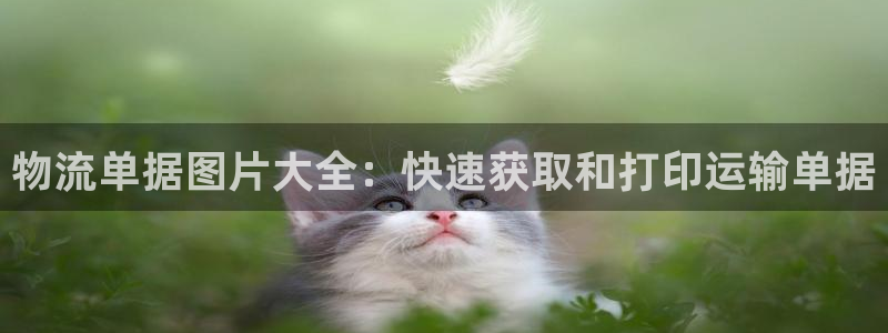 28圈稳吗