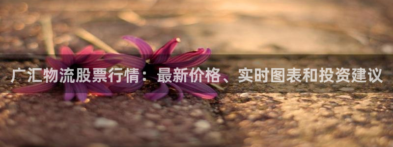 28圈app官网少林足球：广汇物流股