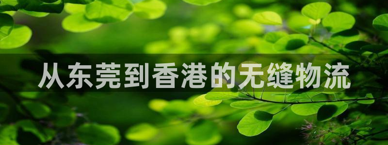 28圈加拿大6.0