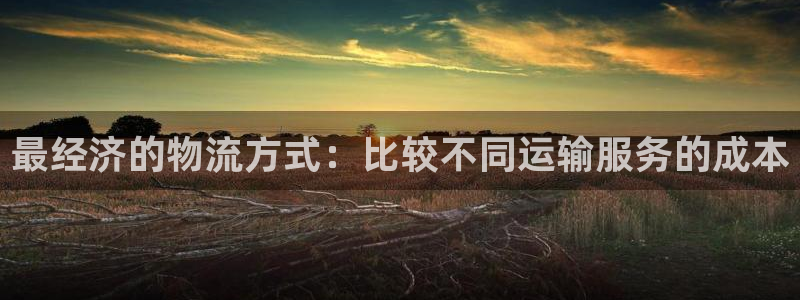 28圈预测网
