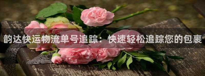28圈充值：韵达快运物流单号追踪：快