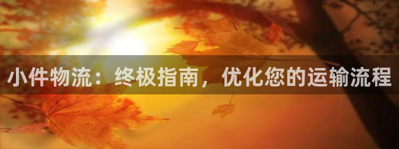 28圈注册网页版：小件物流：终极指南