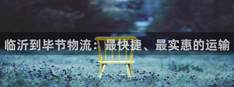 28圈官网平台：临沂到毕节物流：最快