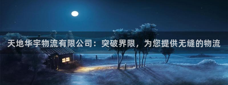 28圈游戏官网入口：天地华宇物流有限