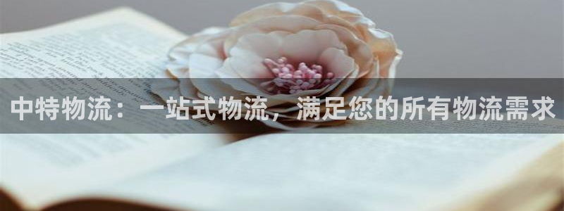 28圈官网注册：中特物流：一站式物流
