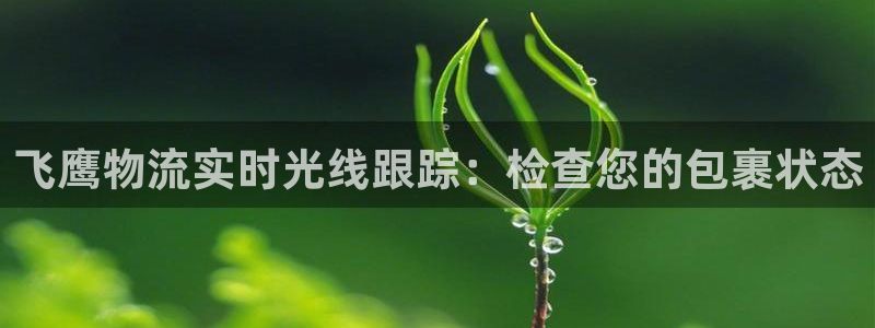 28圈相信品牌的力量