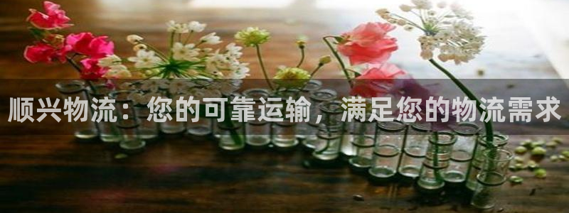 28圈.ccmapp