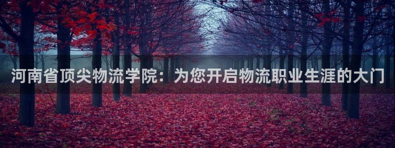 28圈注册网站多少钱：河南省顶尖物流