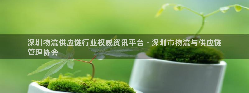 28圈在线预测官网