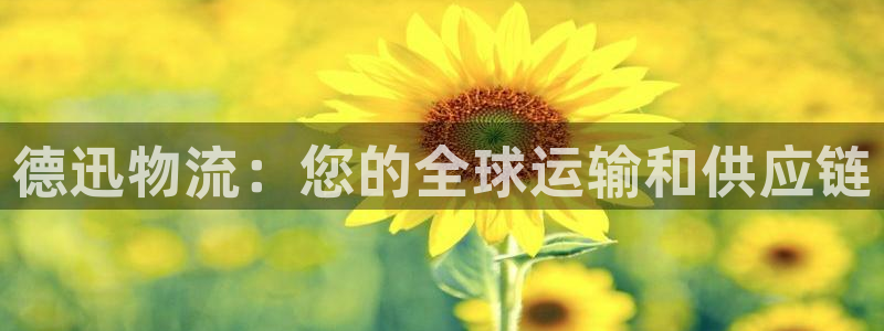 28圈女王中奖记录查询