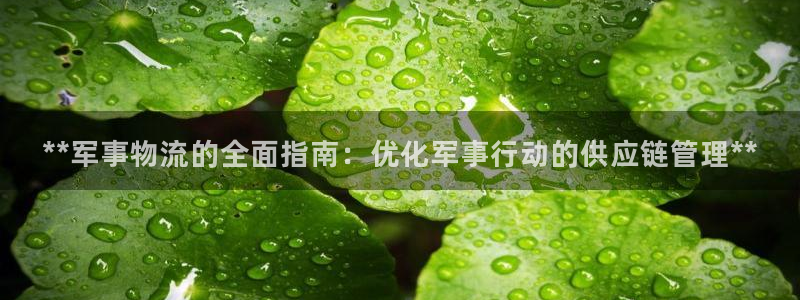 28圈官网平台：**军事物流的全面指