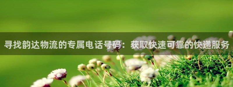 28圈的平台