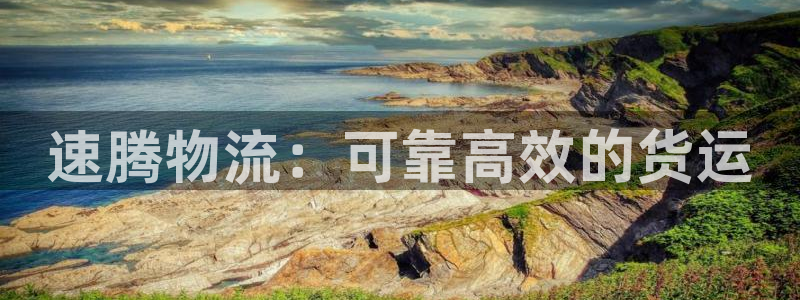 28圈ccm官网版