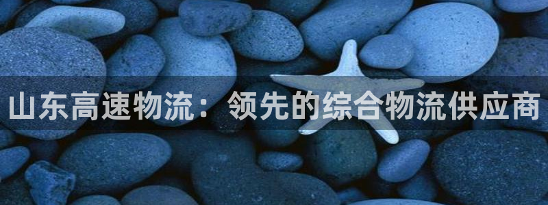 28圈充值不到账：山东高速物流：领先