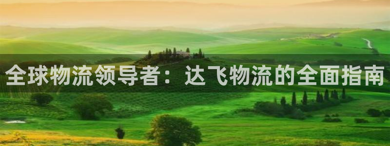 28圈怎么注册游戏名字：全球物流领导