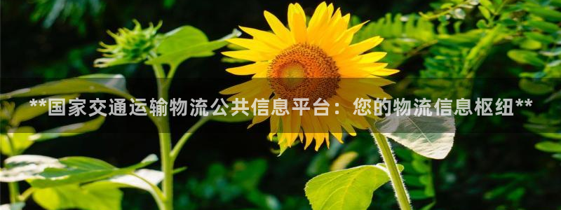 28圈注册网页版：**国家交通运输物
