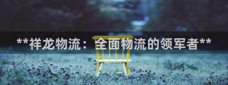 28圈预测加拿大师准：**祥龙物流：