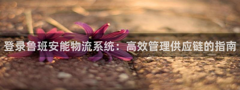 28圈官方平台：登录鲁班安能物流系统