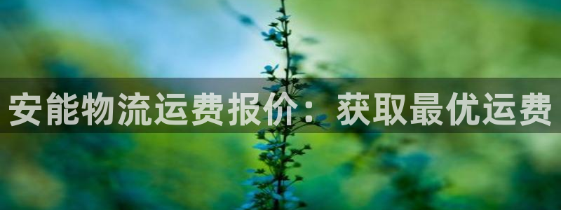 28圈怎么注册下载：安能物流运费报价
