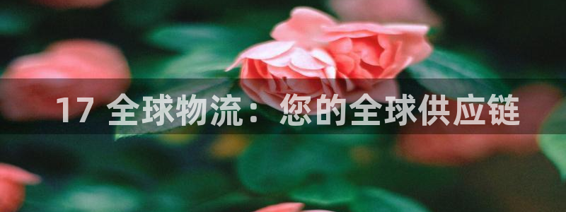 28圈可以退款吗： 17 全球物流：