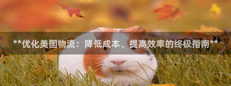 28圈登录用户名登录不上：**优化美