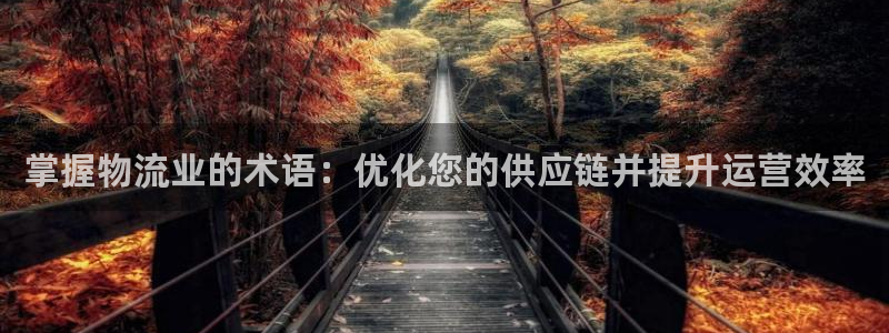 28圈官网平台