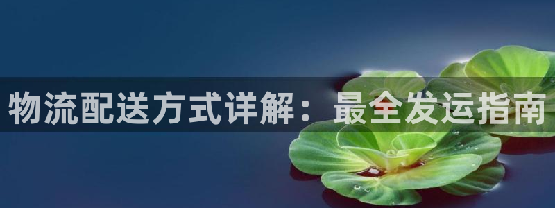 28圈选28ng官网：物流配送方式详
