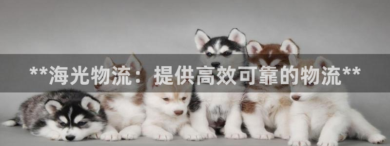 28圈注册网站链接怎么弄：**海光物