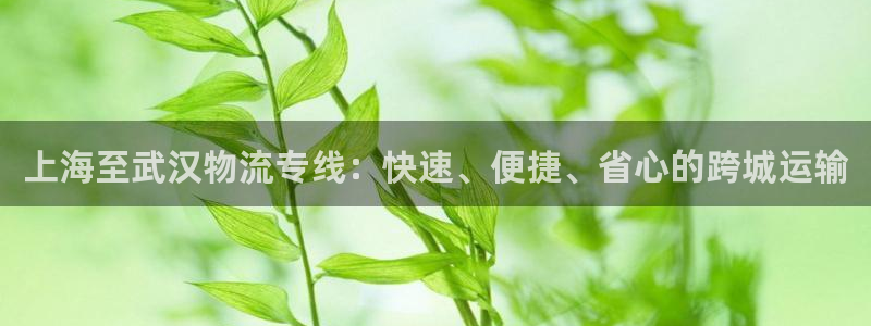 28圈.ccmpc是诈骗吗?：上海至
