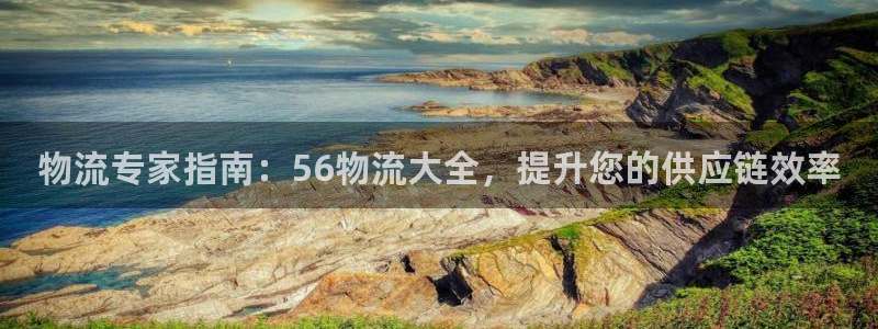28圈模拟：物流专家指南：56物流大