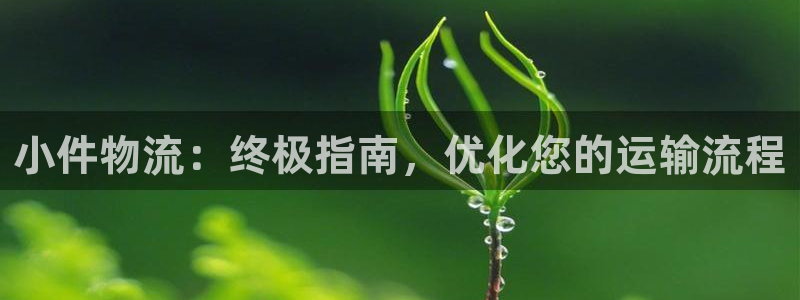 28圈链接来一个：小件物流：终极指南