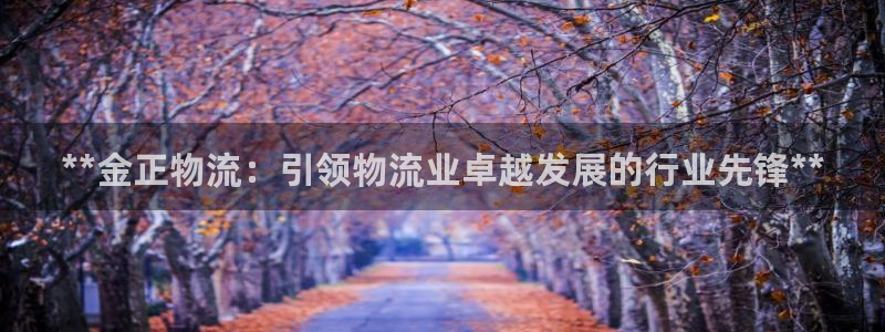 28圈是南宫旗下的吗：**金正物流：