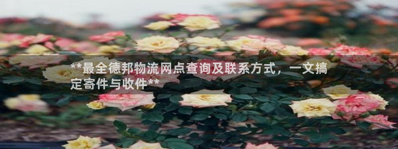 28圈推广链接是多少：**最全德邦物