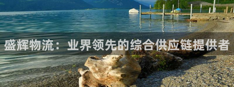28圈注册流程：盛辉物流：业界领先的
