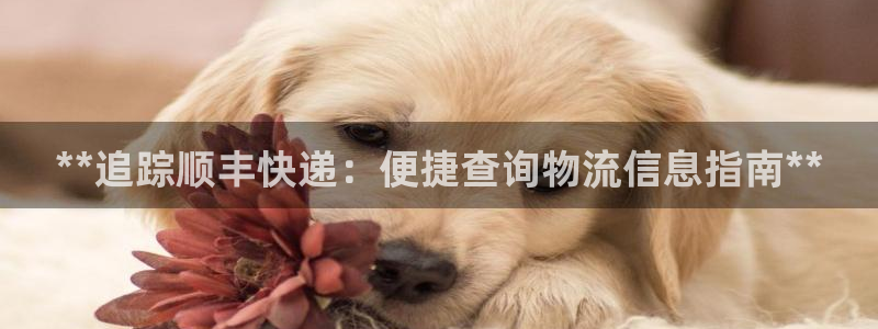 28圈和南宫28什么关系：**追踪顺