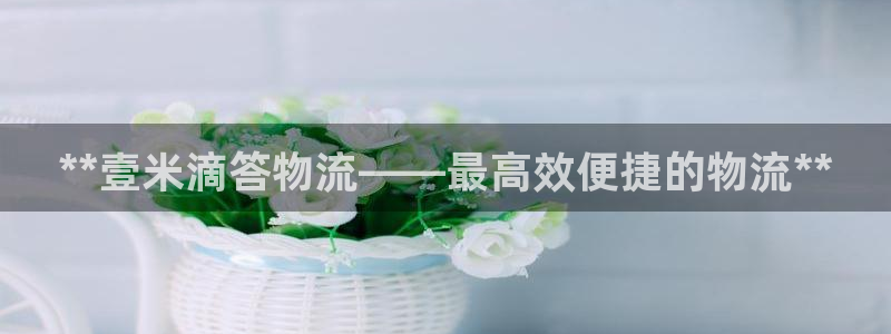 28圈充值不到账怎么办：**壹米滴答