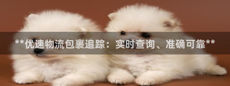 28圈注册网站谁有：**优速物流包裹