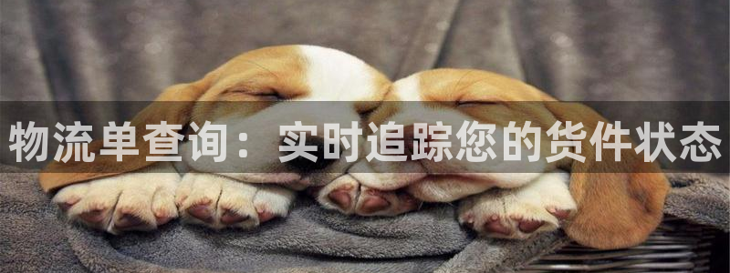 28圈提现不到账