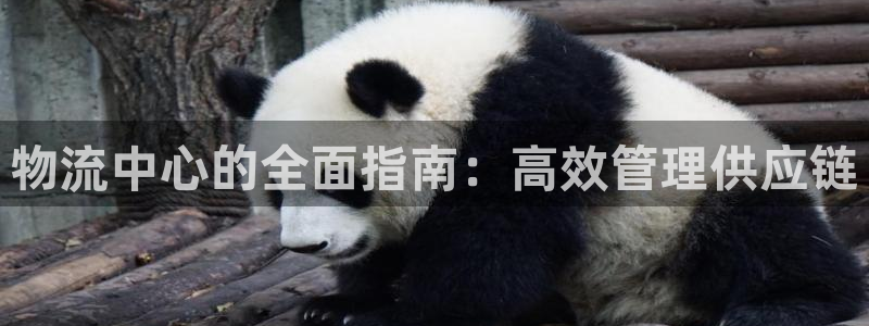 28圈口内径是多大：物流中心的全面指