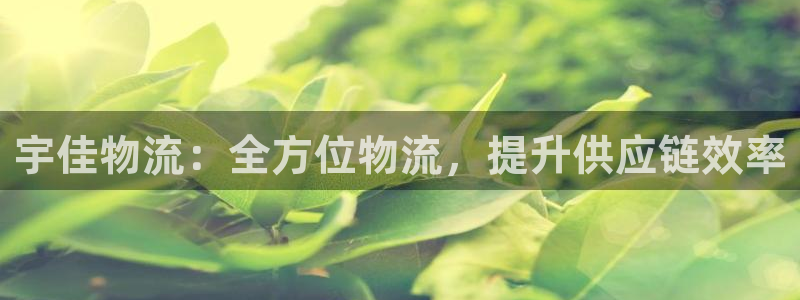 28圈注册网站链接：宇佳物流：全方位