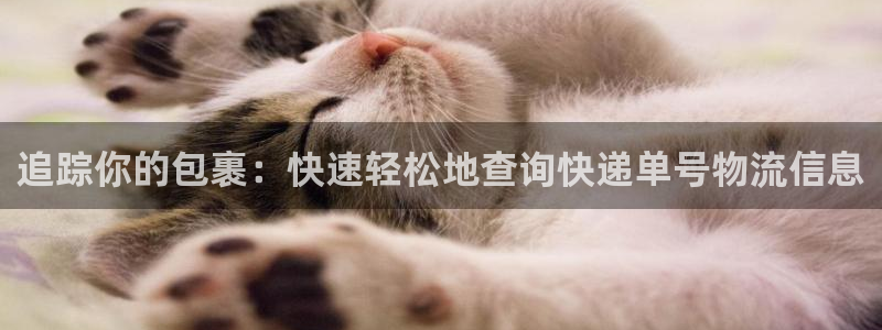 28圈能提现吗：追踪你的包裹：快速轻