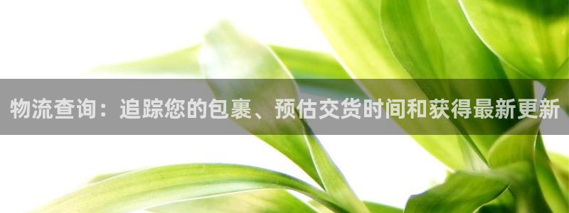 28圈反水：物流查询：追踪您的包裹、