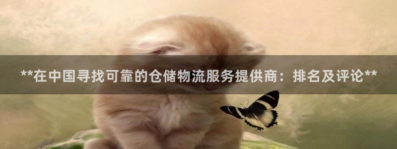 28圈充值不到账怎么办：**在中国寻