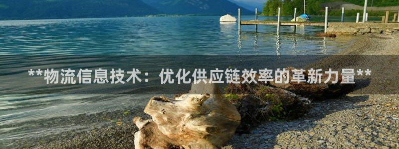 28圈加拿大官网