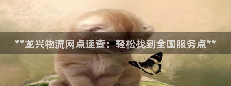 28圈违法吗：**龙兴物流网点速查：