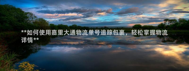 28圈黑钱：**如何使用嘉里大通物流